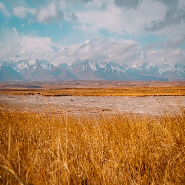 Classic for Good Dream - Lullaby music