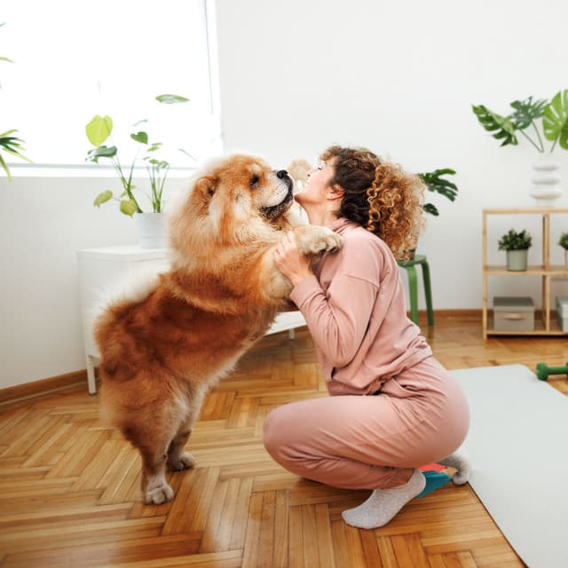 Dog Sanctuary: Calming Ambient Music Melodies for Bonding - Sunday Morning Music