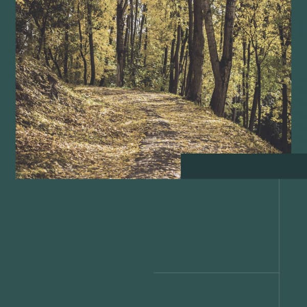 Aromatherapy - Background Music - 1 Hour Spa Music