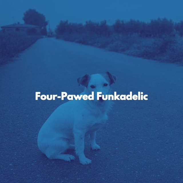 Four-Pawed Funkadelic - Rainy Day Jazz