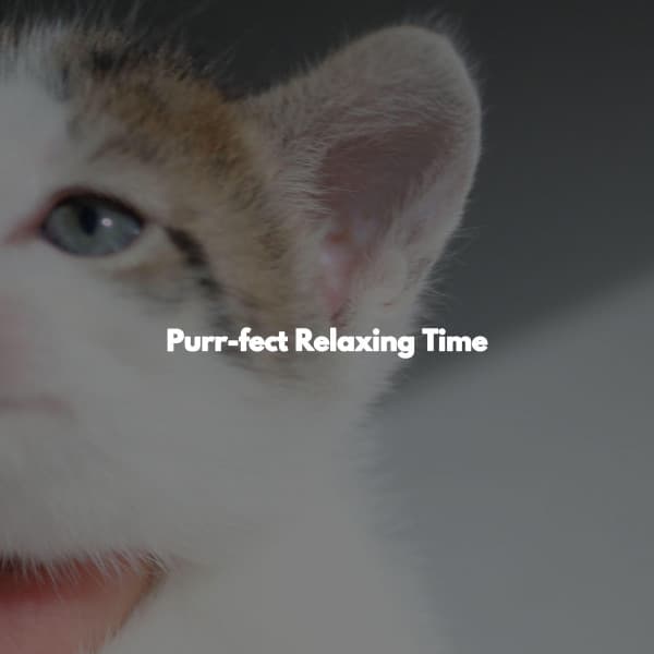 Purr-fect Relaxing Time - Musica para Restaurantes Ambiente
