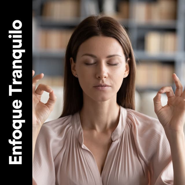 Enfoque Tranquilo - Ruido Del Sueño