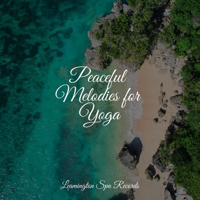 Peaceful Melodies for Yoga - Ambient Nature project