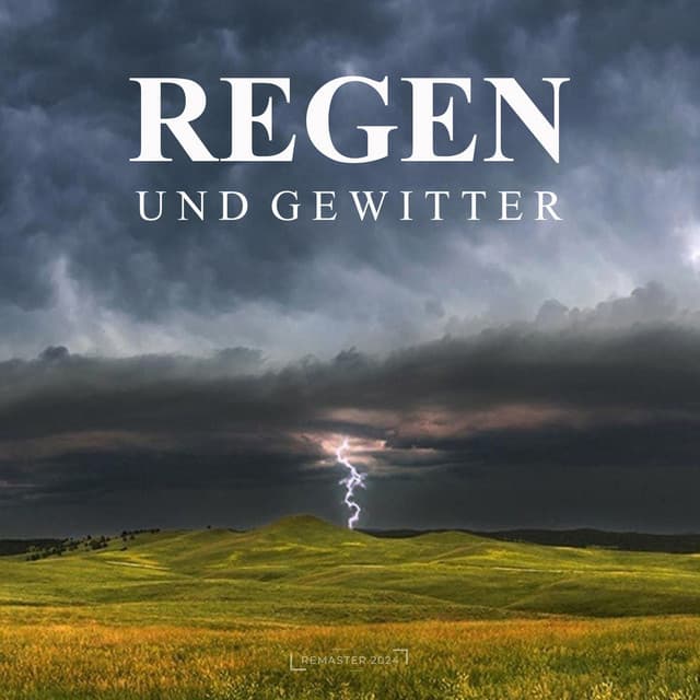 Regen und Gewitter - Regengeräusche Orchester von TraxLab