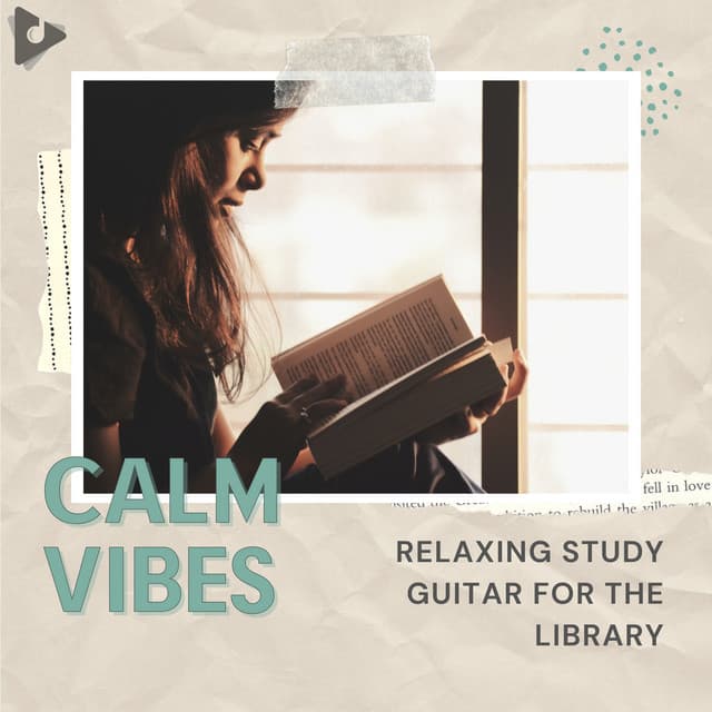 Relaxing Study Guitar for the Library - Calm Vibes