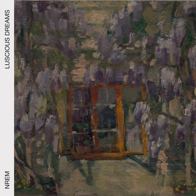 Luscious Dreams - NREM