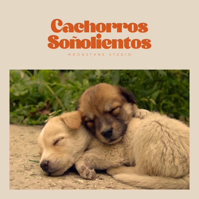 Cachorros Soñolientos - Buena Mañana