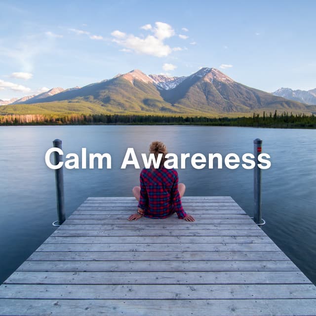 Calm Awareness - Sleep Music Wellness