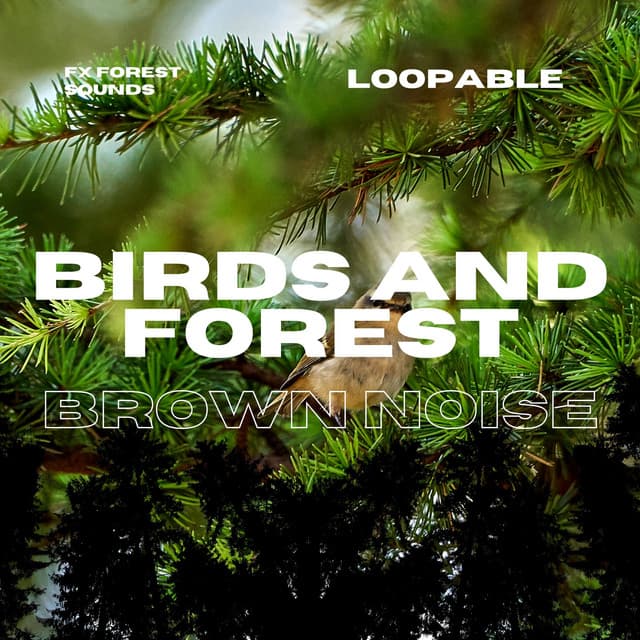 Birds and Forest Sounds for Relaxation with Brown Noise, Loopable - FX Forest Sounds