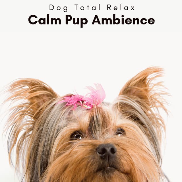 1 Calm Pup Ambience - Dog Total Relax