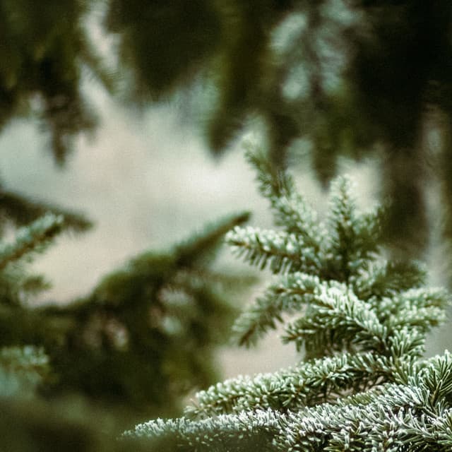 10 Natural Ambiences: Fountain Of Youth - Baltic Nature Sounds