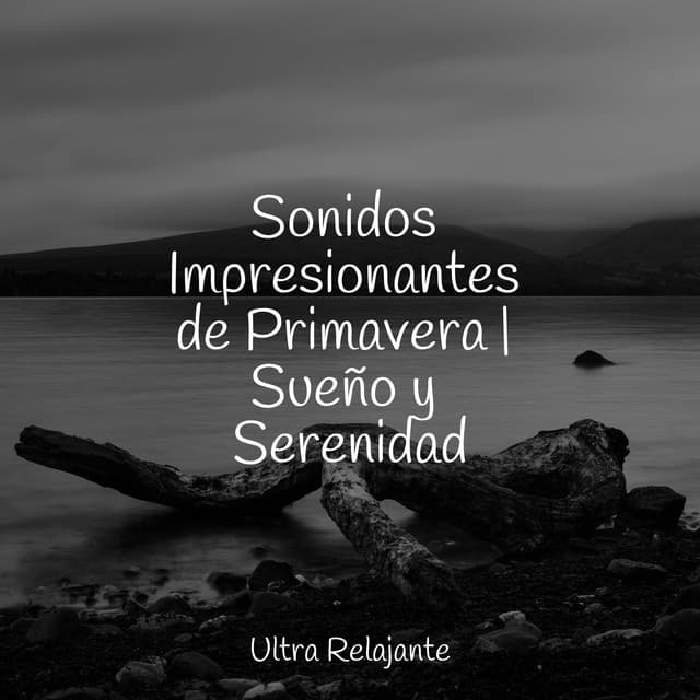 Sonidos Impresionantes de Primavera | Sueño y Serenidad - Mantra para Dormir