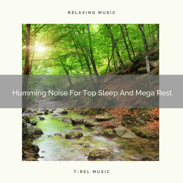 Humming Noise For Top Sleep And Mega Rest - Baby Shusher And Lullaby