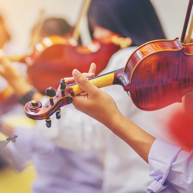 Symphony of Peace: Orchestra for Relaxation - Valborg Shamsuddin