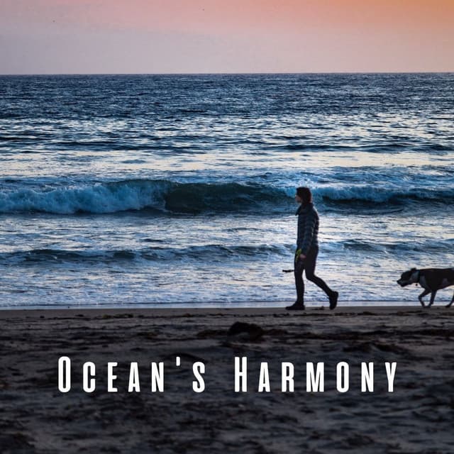 Ocean's Harmony: Relaxing Sounds for Peaceful Pets - Ocean of Relax