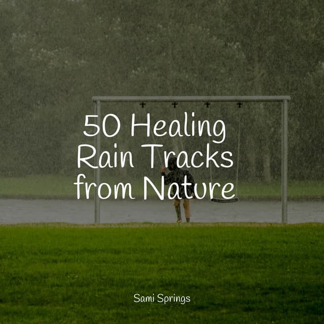 50 Healing Rain Tracks from Nature - Sleep Meditation Dream Catcher