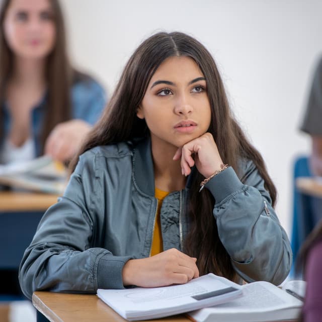 Wings of Reflection: Birds and Owls for Deep Focus - Bird Robin