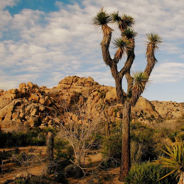 Healing Maria | Calming Sounds of Autumn - Nature Sounds