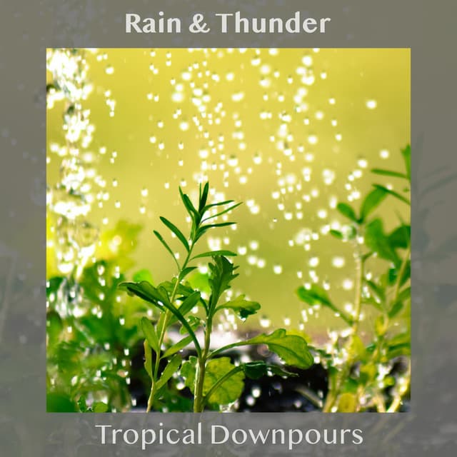 Tropical Downpours - Rain & Thunder