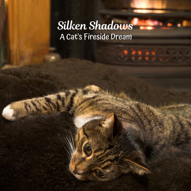 Silken Shadows: A Cat's Fireside Dream - Fire Sounds For Sleep