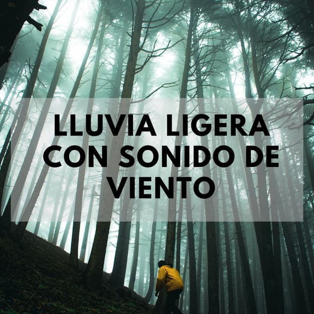Lluvia Ligera Con Sonido De Viento - Música de día lluvioso