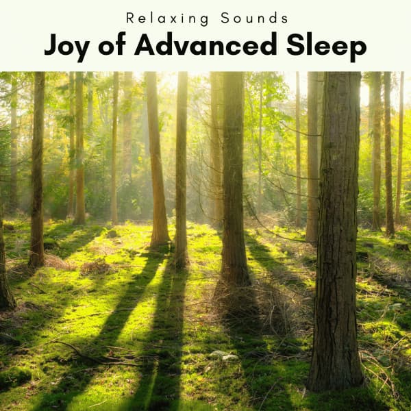 A Joy of Advanced Sleep - Heal Your Soul