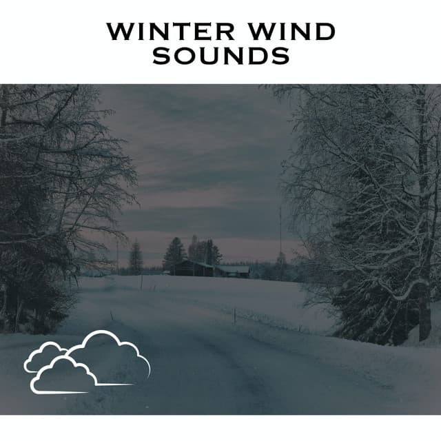 Winter Wind Sounds - Winter Background