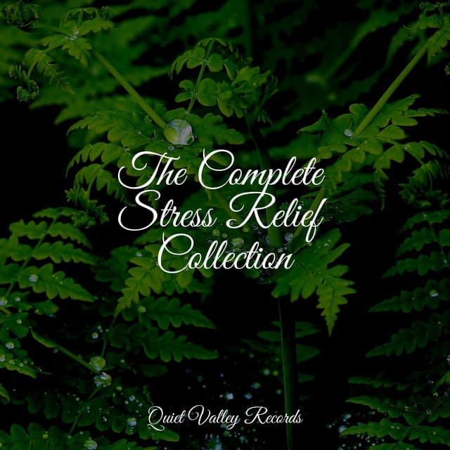 The Complete Stress Relief Collection - Sleepy Night Music