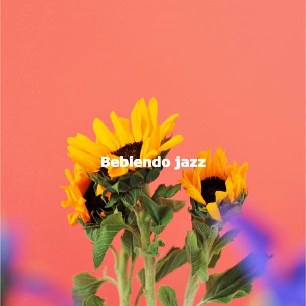 Bebiendo jazz - Gentle Morning Music