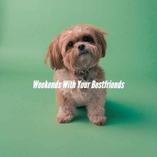 Weekends With Your Bestfriends - Jazz Rilassante Ritmi