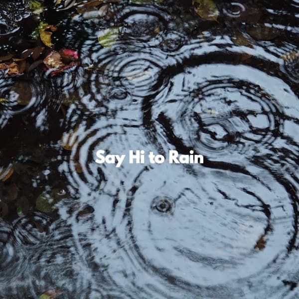 Say Hi to Rain - Calme Ambiance Jazz
