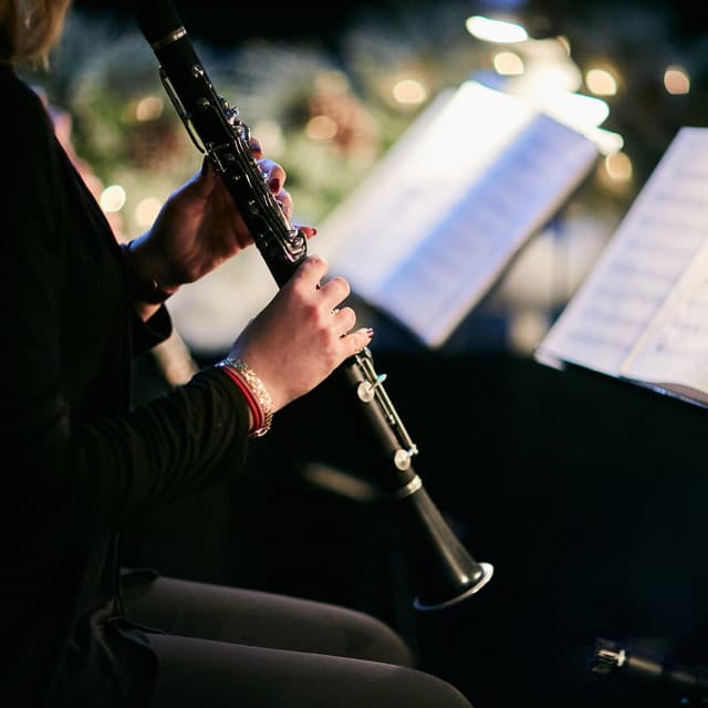 Peaceful Symphony: Orchestra Harmony - Jason Humphries