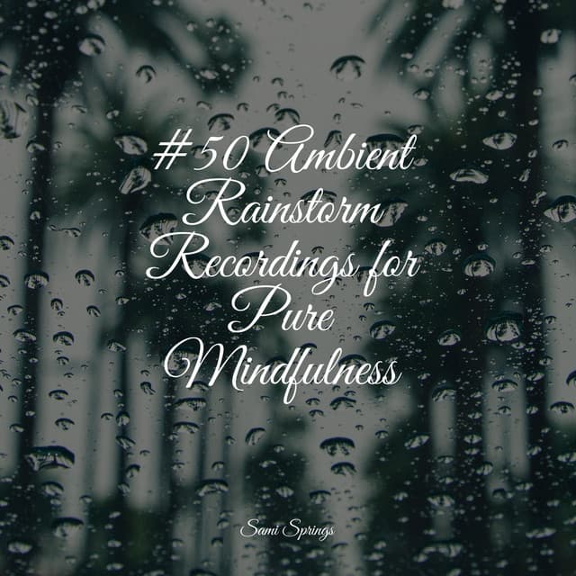 #50 Ambient Rainstorm Recordings for Pure Mindfulness - Nature's Symphony