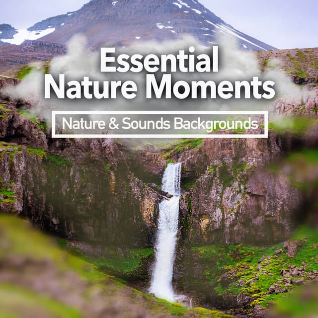 Essential Nature Moments - Nature & Sounds Backgrounds