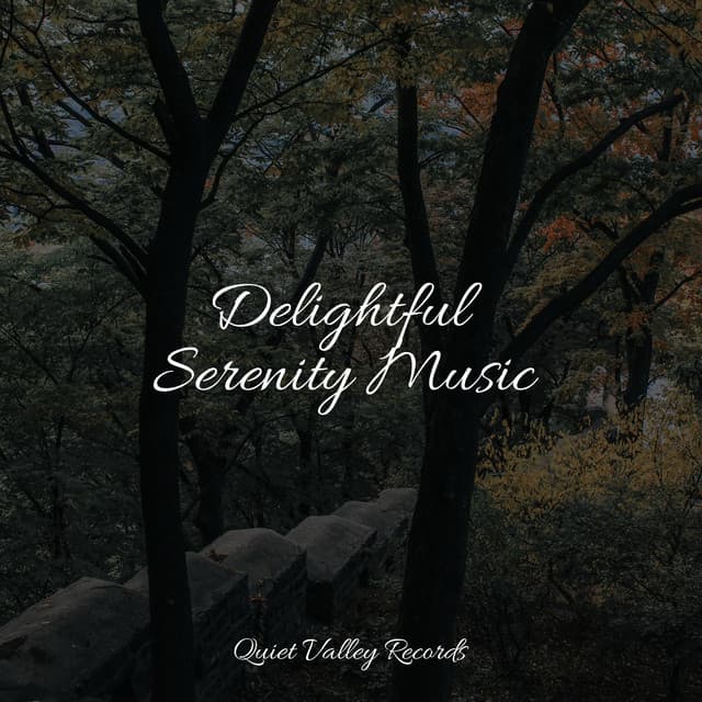 Delightful Serenity Music - Masters of Binaurality