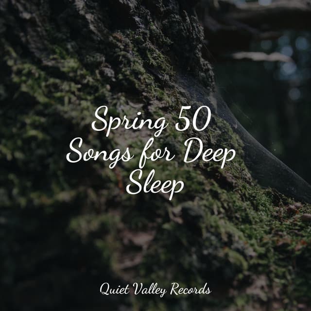 Spring 50 Songs for Deep Sleep - Nature Sounds Radio