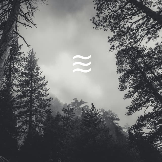 Enjoyful Soft Noises of Rain for Sleep Well - Wave Sounds For Sleep