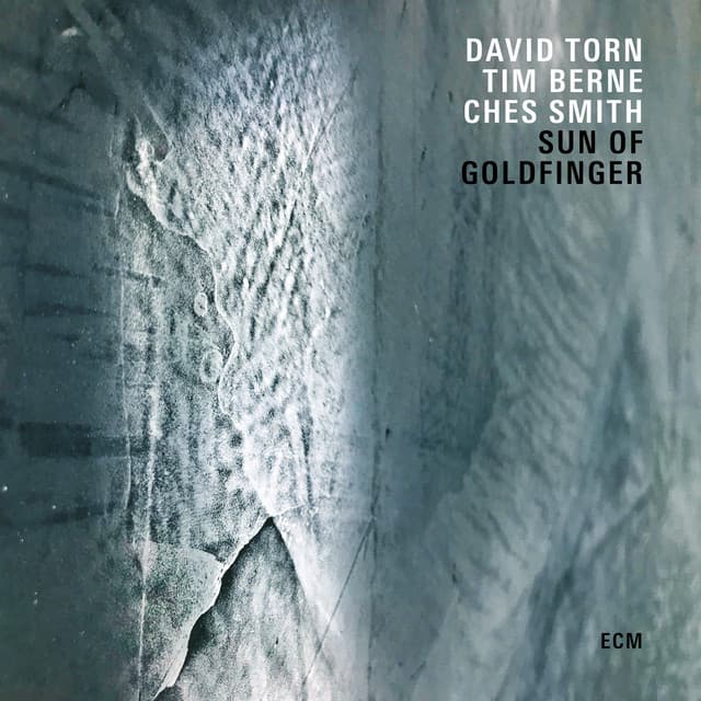 Sun Of Goldfinger - David Torn