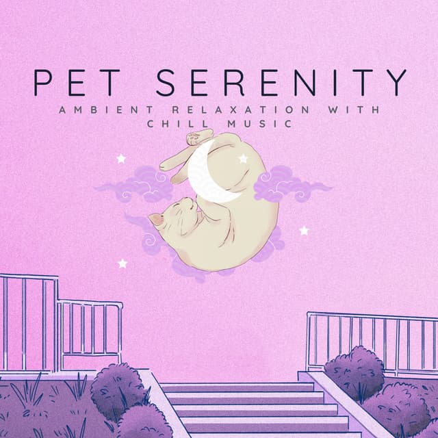 Pet Serenity: Ambient Relaxation with Chill Music - Mirror Box