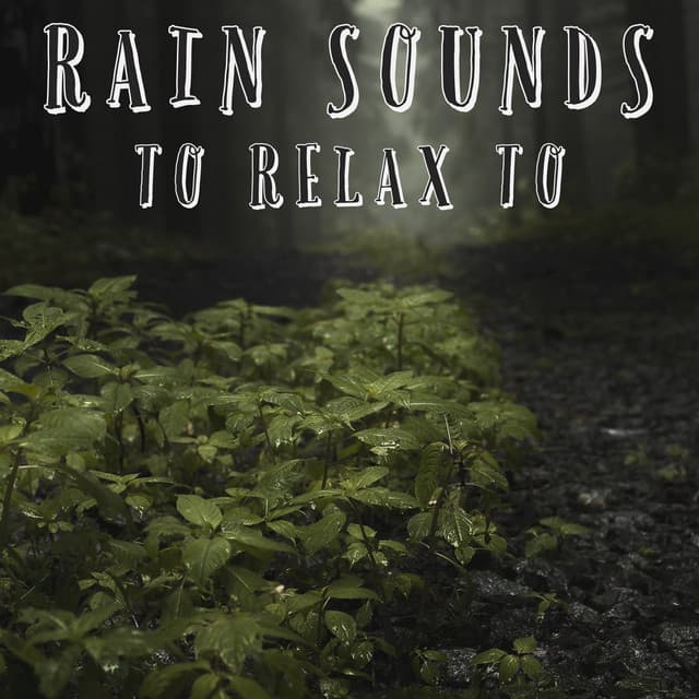 Rain Sounds To Relax To - Natural Sample Makers