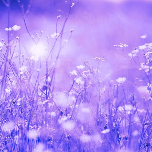 Music for Calming Lofi Moments - Jazz-hop - Lo-fi Hip Hop Beats