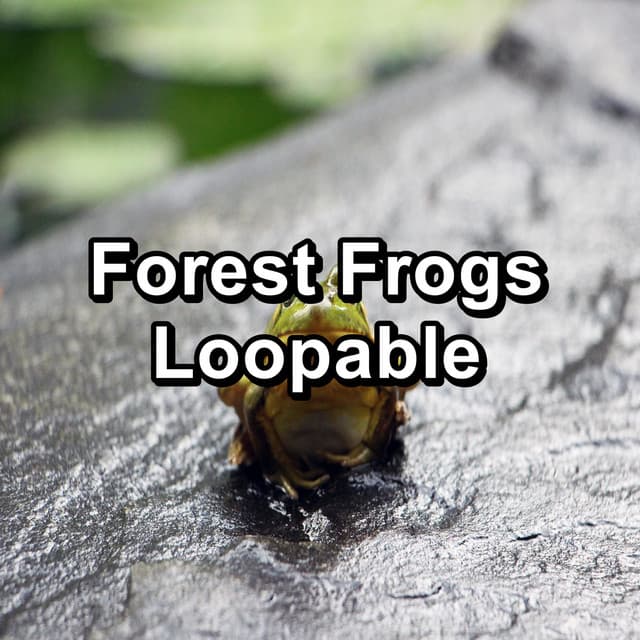 Forest Frogs Loopable - Relaxing Music Therapy