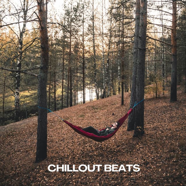 Chillout Beats - Chili House