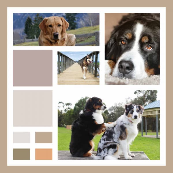 Background Music for Dog Calming - Sleeptime for Dogs