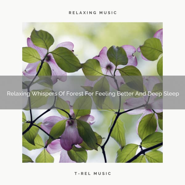 Relaxing Whispers Of Forest For Feeling Better And Deep Sleep - Tranquil Music Sound of Nature