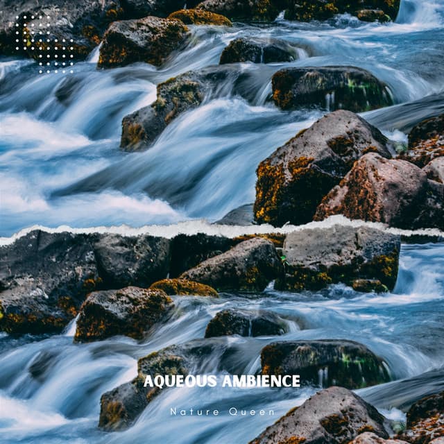 Aqueous Ambience: 639 Hz Tibetan Bowls Mirrored in the River - Nature Queen