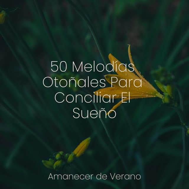 50 Melodías Otoñales Para Conciliar El Sueño - Chakra Balancing Sound Therapy