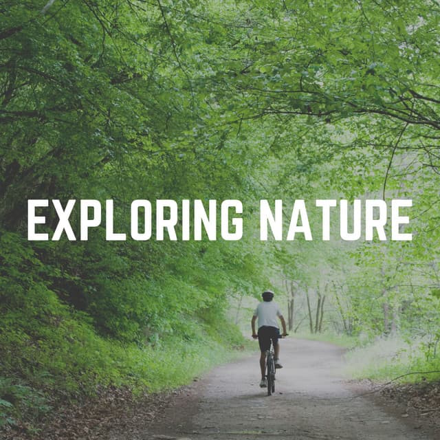 Exploring Nature - The Nature Soundscapes