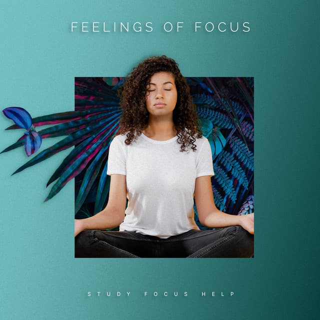 Feelings of Focus - Study Focus Help