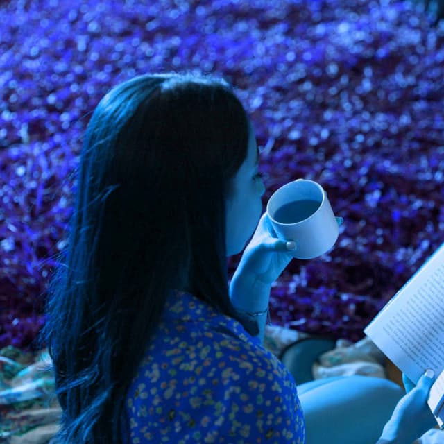 Jazz Organ and Bossa Guitar Trio - Music for Breezy Fall - #Relaxing